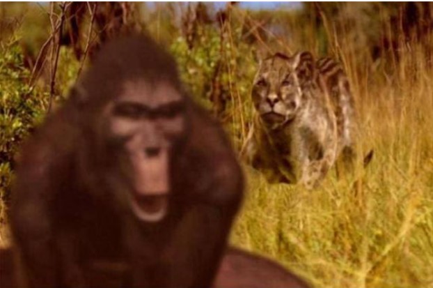 Loài động vật này ăn thịt người, và nếu nó không bị tuyệt chủng, con người có thể đã biến mất từ ​​lâu!