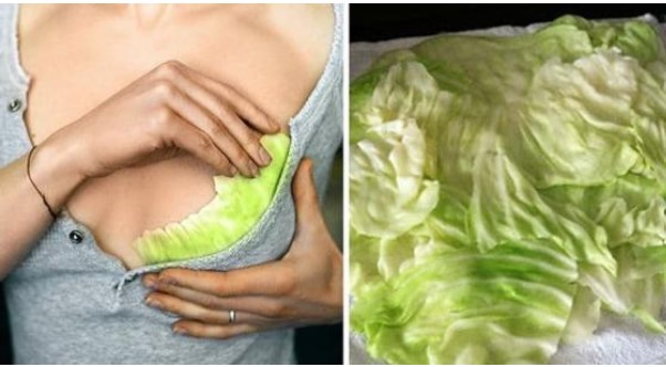 Hơn 10 phương pháp làm đẹp cổ xưa vẫn hữu ích cho đến tận ngày nay