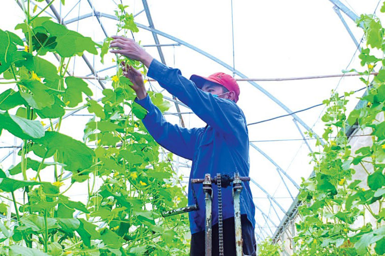 Việt Nam cần nâng cao trình độ khoa học công nghệ trong nông nghiệp