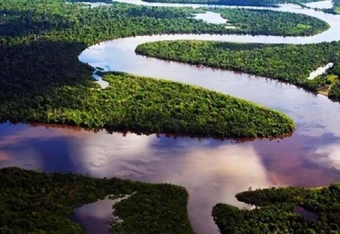 Sông Amazon có gì đáng sợ đến thế? Đọc xong mới hiểu chẳng trách chẳng có ai dám bước xuống!