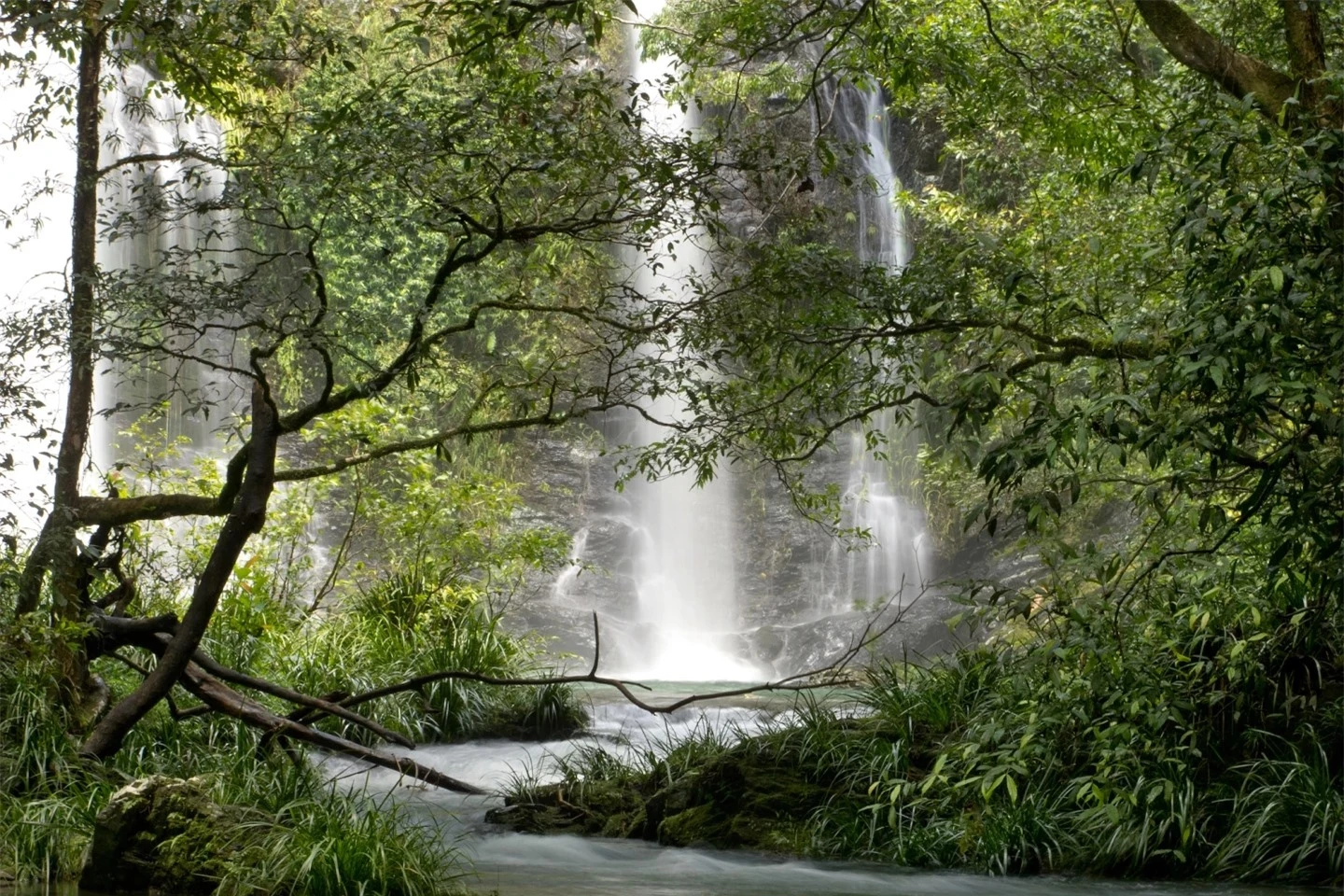 10 khu rừng cổ đại tuyệt đẹp còn tồn tại trên thế giới- Ảnh 6.