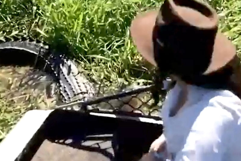 Phản xạ cực nhanh, người phụ nữ thoát khỏi cú đớp của con cá sấu 'khổng lồ' trong gang tấc