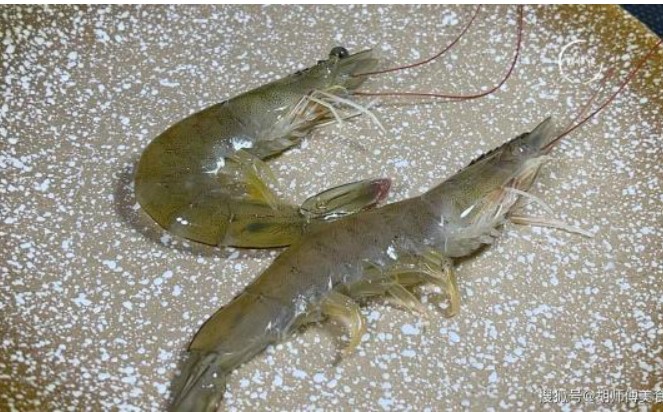 Mua tôm nên chọn tôm thẳng hay tôm cong? Một lão ngư tiết lộ sự thật: Chênh lệch lớn lắm, đừng mua lầm nữa!