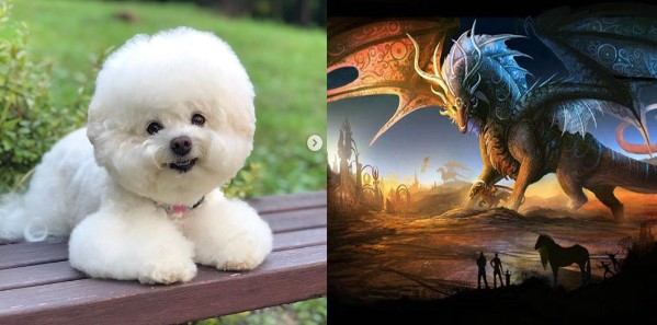 Ba ngày tới vận may sẽ đến với bạn, tài lộc một phần tràn ngập, sự nghiệp thăng tiến với 3 con giáp