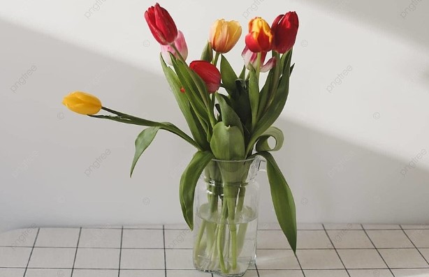 Phòng khách dù lớn đến mấy cũng đừng để 5 loại hoa này nếu không 'hoa vượng thì người héo'