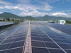 Thủ tướng yêu cầu có cơ chế khuyến khích điện mặt trời áp mái
