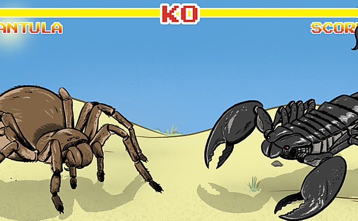 B&#x1ECD; c&#x1EA1;p &#x111;&#x1ED1;i &#x111;&#x1EA7;u nh&#x1EC7;n tarantula, k&#x1EBB; n&#xE0;o s&#x1EBD; chi&#x1EBF;n th&#x1EAF;ng? C&#xE1;c nh&#xE0; khoa h&#x1ECD;c &#x111;&#xE3; c&#xF3; c&#xE2;u tr&#x1EA3; l&#x1EDD;i