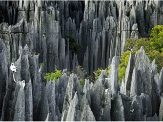 Phát hiện rừng đá Bemaraha của Madagascar - mê cung tự nhiên lớn nhất thế giới