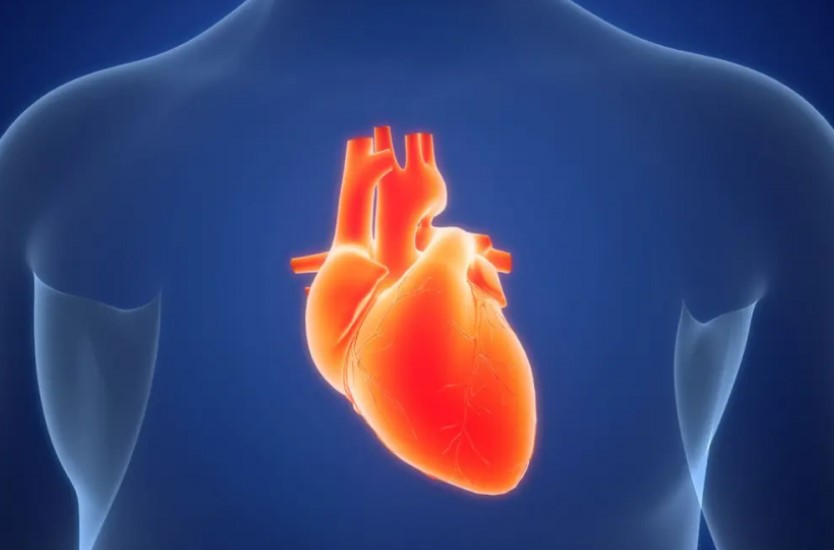 Đột phá y học: Thuốc xịt mũi giúp điều trị nhịp tim bất thường tái phát tại nhà