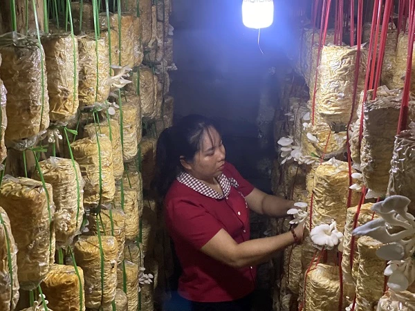 Nâng cao vị thế kinh tế của phụ nữ dân tộc thiểu số