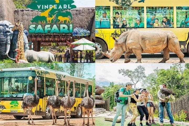 Thế giới động vật muôn màu ở Vinpearl Safari Phú Quốc.