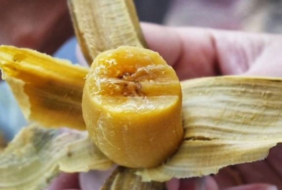 Mang chuối đi luộc và ăn trước bữa cơm, sau 1 tuần cơ thể phụ nữ sẽ có nhiều thay đổi: Mỡ thừa biến mất, da sáng mịn, tốt cho người tiểu đường