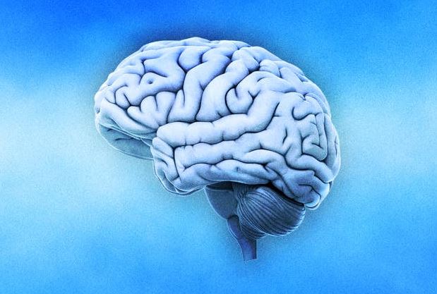 Hội chứng “não tháng 1” là có thật: Trong tháng này não của chúng ta hoạt động khác với 11 tháng còn lại trong năm?