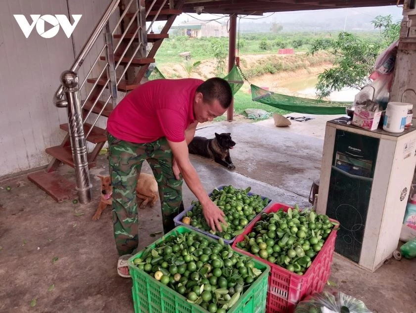 Chuyển đổi số giúp quả chanh trong tiêu thụ sản phẩm.