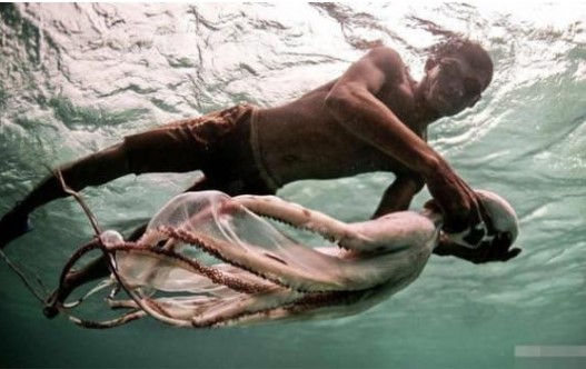 Kỳ lạ bộ tộc đã sống dưới nước hơn 15.000 năm, phổi và lá lách to hơn người bình thường