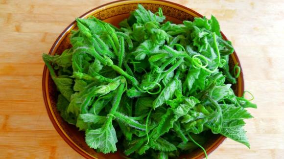 Có một kho báu trong bí đỏ, nhiều người chỉ biết ăn như rau mà không biết bí đỏ là thần dược