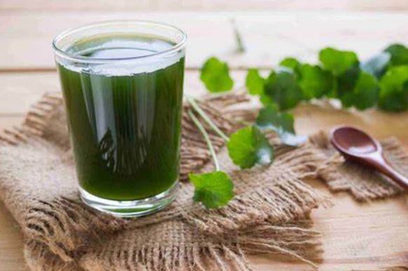 Nhừng sai lầm khi uống nước rau má giải nhiệt trong mùa hè