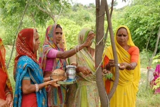 Phần lớn văn hóa Ấn Độ ưa thích con trai nhưng ngôi làng nhỏ này ăn mừng trước sự ra đời của bé gái bằng việc trồng trăm cây