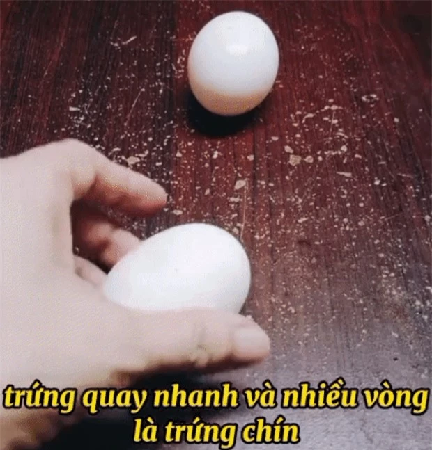 Phân biệt trứng - Ảnh 8.