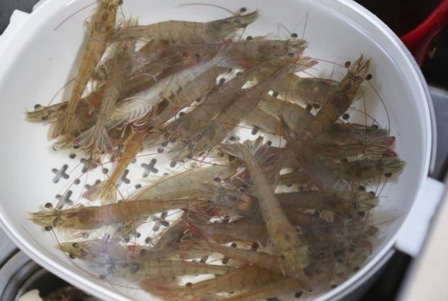 Canh tôm đậu hũ nấu đơn giản kiểu này được món ngon, bổ dưỡng ngày hè