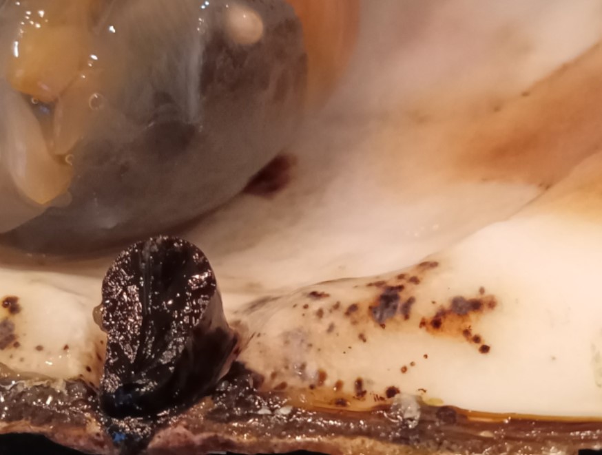 Mua đồ giảm giá ở siêu thị về nhà bỗng thành triệu phú, anh chàng khiến dân mạng trầm trồ "xin vía" khi hé lộ kho báu bất ngờ