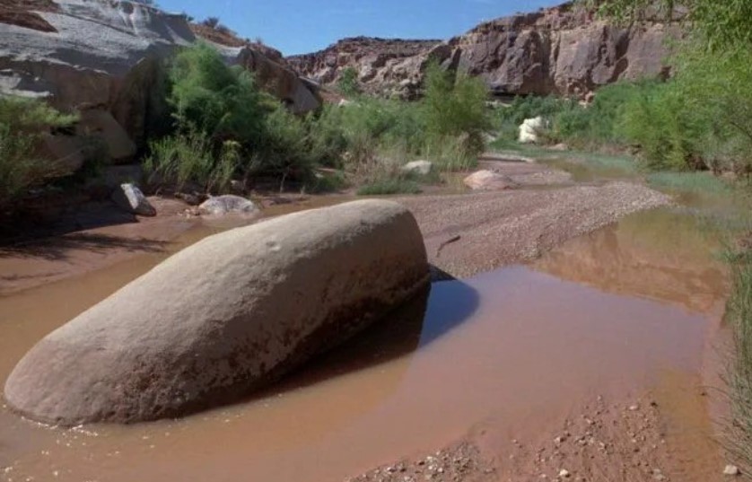 Hì hục đào hầm săn kho báu, người đàn ông thành tội đồ khiến giới khảo cổ rúng động