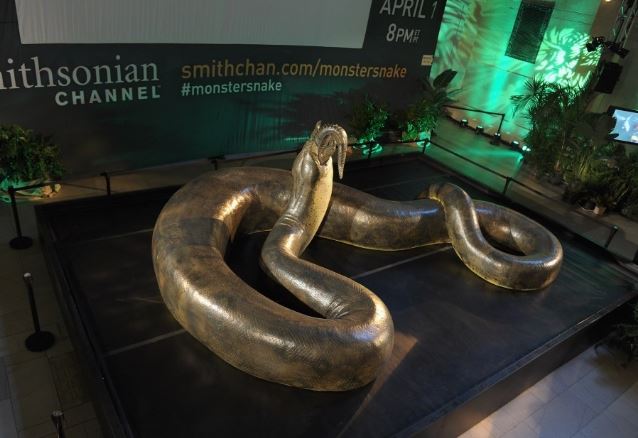 Phát hiện con rắn lớn nhất thế giới ẩn trong đầm lầy, khủng hơn bạo chúa T-Rex