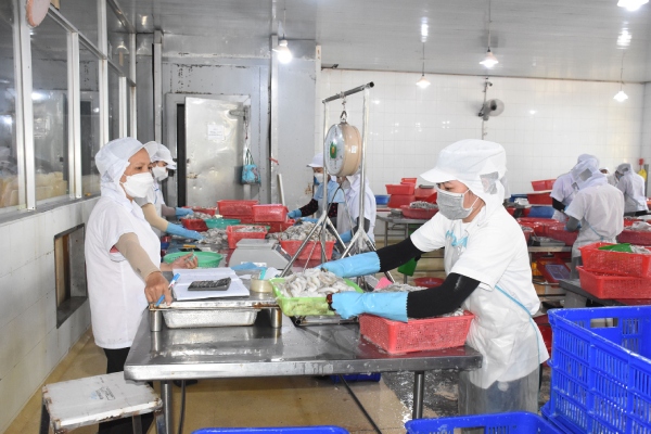 VASEP: Doanh nghiệp băn khoăn bởi quy định "trộn lẫn nguyên liệu" trong Nghị định 37