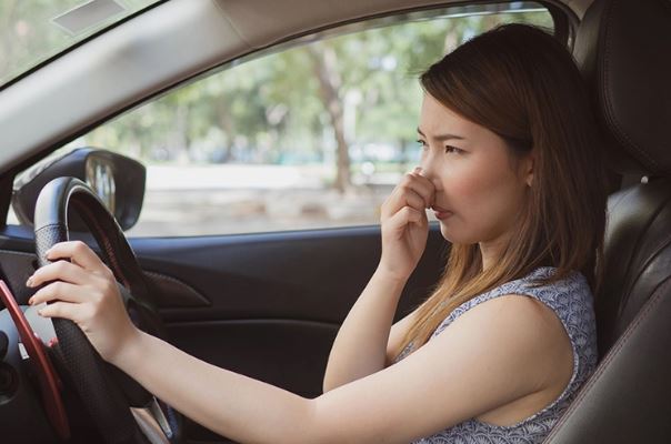 Mẹo vặt xử lý mùi hôi và nấm mốc trong xe ô tô hiệu quả tức thì cho xe sạch thơm cả ngày