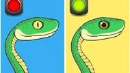 Làm gì khi thấy rắn và cách nhận biết loài rắn chứa nọc độc