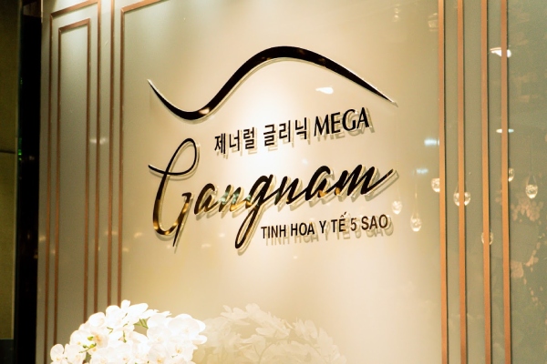 Vì sao Mega Gangnam lại bị xử phạt?
