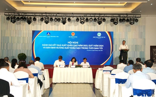 Theo sát diễn biến thị trường, chủ động nguồn lúa gạo xuất khẩu