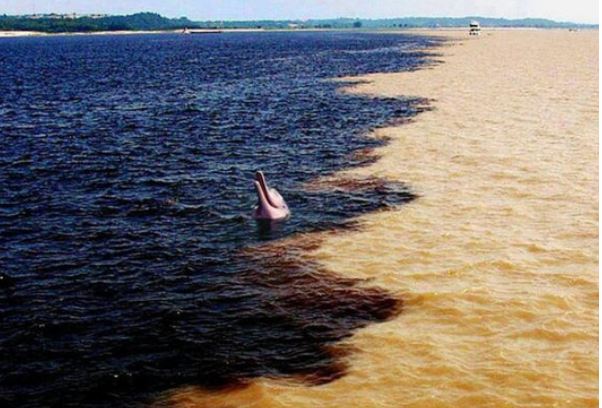 16 bức ảnh lý giải những điều bí ẩn, khó hiểu trên thế giới