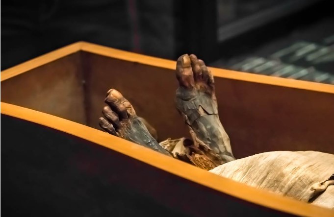 Bí ẩn của xác ướp ngàn năm 1.000 năm được tiết lộ