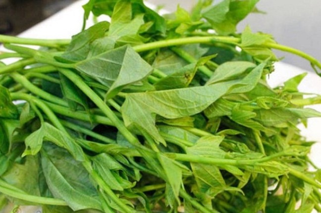 Loại rau được thế giới ca ngợi là 'rau trường thọ': Việt Nam bán đầy chợ, giá rẻ bèo