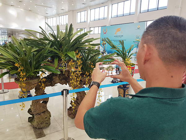 Ngắm những tác phẩm đặc sắc dự hội thi lan kiếm toàn quốc 2024