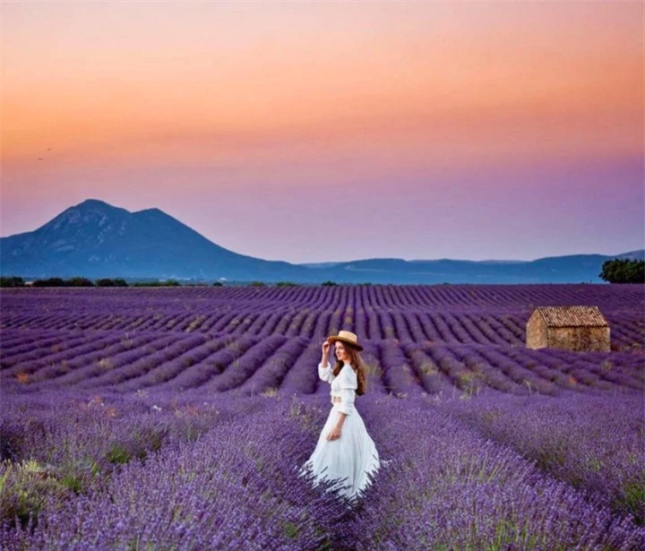 Cánh đồng hoa oải hương ở Provence (Pháp). Những đồng cỏ hoa oải hương tuyệt đẹp và những ngôi làng xung quanh đã truyền cảm hứng cho một số họa sĩ theo trường phái Ấn tượng và Hậu Ấn tượng nổi tiếng nhất, bao gồm Paul Cézanne, Camille Pissarro và thậm chí cả Vincent Van Gogh.