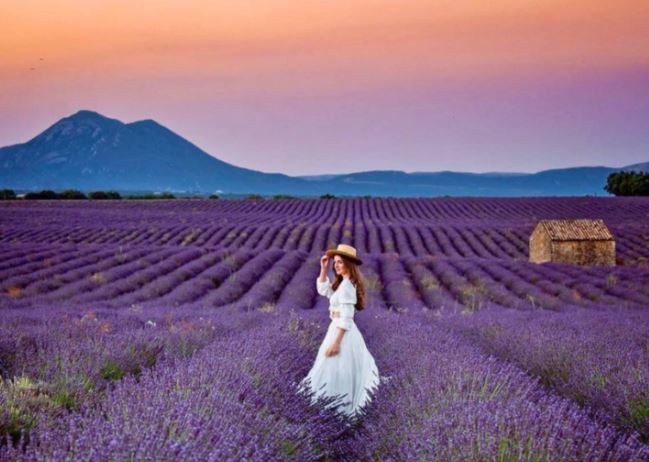 Những cánh đồng hoa đẹp nhất thế giới