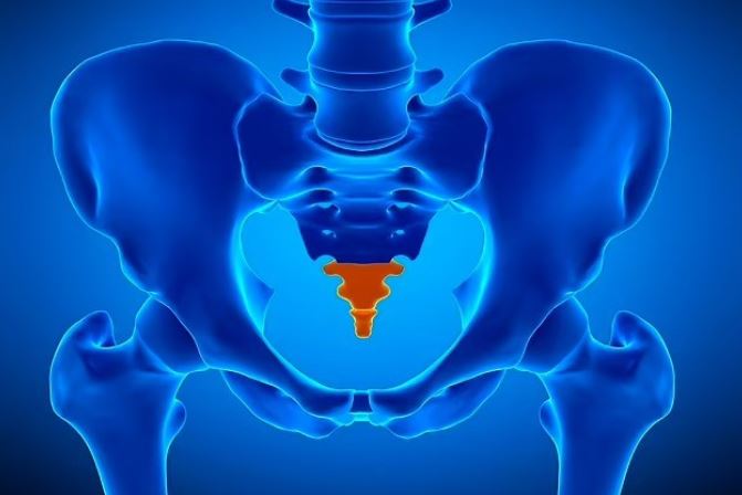 H&#xE9; l&#x1ED9; l&#xFD; do con ng&#x1B0;&#x1EDD;i m&#x1EA5;t &#x111;u&#xF4;i v&#xE0;o 25 tri&#x1EC7;u n&#x103;m tr&#x1B0;&#x1EDB;c