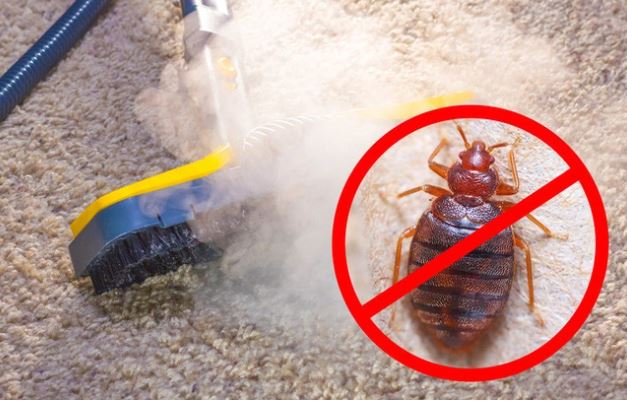 Dùng ngay những thứ mà bếp nhà nào cũng có để đuổi lũ côn trùng khó chịu