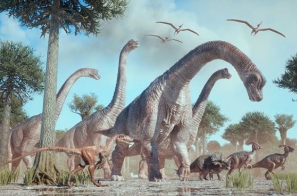 Khủng long thống trị trái đất không phải vì kích thước khổng lồ hay hàm răng đáng sợ mà vì 1 cách không ngờ tới