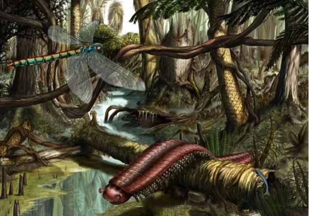 T&#x1EA1;i sao c&#xF4;n tr&#xF9;ng t&#x1EEB; b&#x1ECF; c&#x1A1; th&#x1EC3; to l&#x1EDB;n th&#x1EDD;i ti&#x1EC1;n s&#x1EED; c&#x1EE7;a ch&#xFA;ng m&#xE0; ng&#xE0;y c&#xE0;ng thu nh&#x1ECF; d&#x1EA7;n?