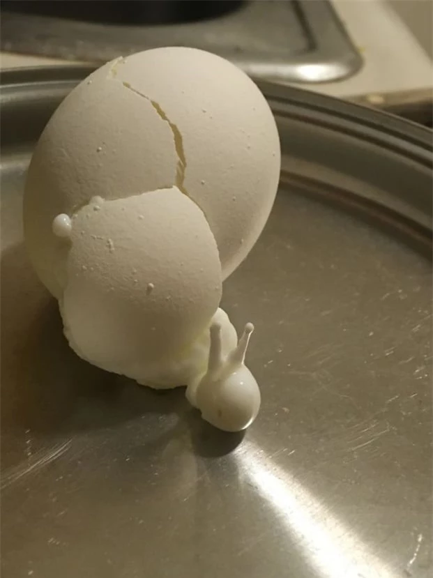   Quả trứng bị nứt trong khi đang luộc trông như con ốc sên  