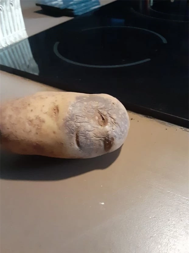   Củ khoai tây với khuôn mặt 'không thiết sống'  