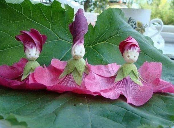 16 bức ảnh thú vị về ảo giác khuôn mặt pareidolia