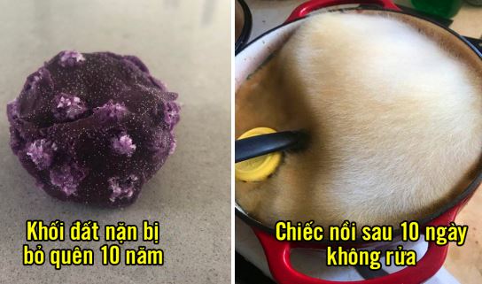 15 bức ảnh thú vị giải đáp cho bạn những thắc mắc mà search Google chưa chắc đã ra