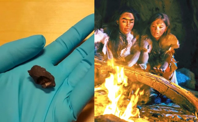 Hóa ra người tiền sử cũng ăn kẹo cao su, giới khoa học ngỡ ngàng khi phát hiện mẫu kẹo 10.000 năm tuổi