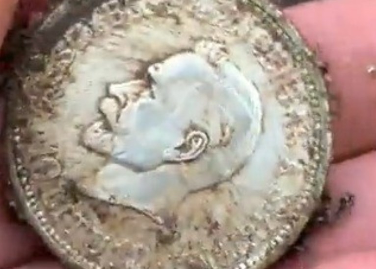 Thợ săn kho báu tìm thấy 32 đồng tiền xu của Đức Quốc xã được giấu ở địa điểm bí ẩn