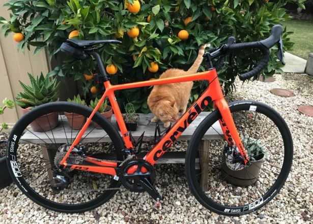 Màu sắc đồ vật ảnh hưởng như thế nào đến cảm xúc của bạn?