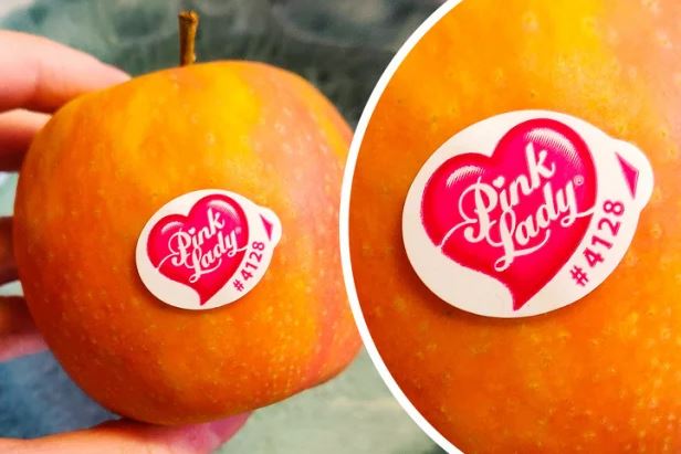 Những tính năng ẩn thú vị của các vật dụng thường ngày mà bạn chưa biết